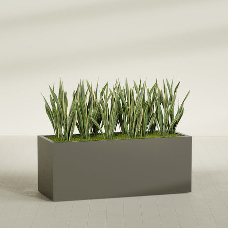 Granada rectangular fiberglass planter in Matte Bronze, 60 × 24 × 24 in, shown planted in a room