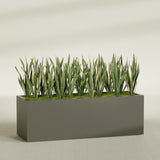 Granada rectangular fiberglass planter in Matte Bronze, 72 × 24 × 24 in, shown planted in a room