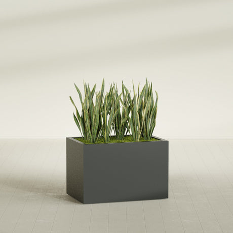 Granada rectangular fiberglass planter in Matte Charcoal, 36 × 24 × 24 in, shown planted in a room