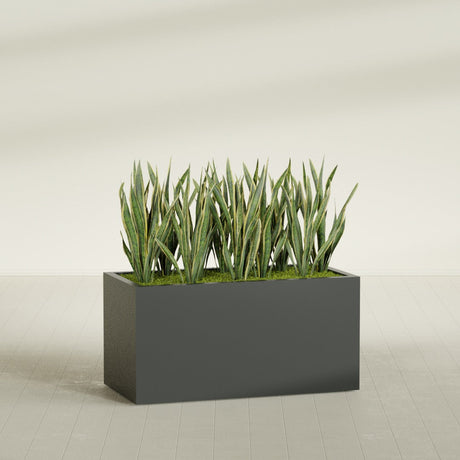 Granada rectangular fiberglass planter in Matte Charcoal, 48 × 24 × 24 in, shown planted in a room