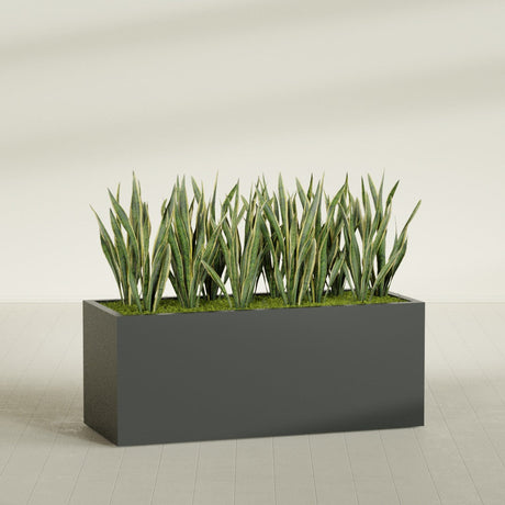 Granada rectangular fiberglass planter in Matte Charcoal, 60 × 24 × 24 in, shown planted in a room