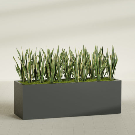 Granada rectangular fiberglass planter in Matte Charcoal, 72 × 24 × 24 in, shown planted in a room