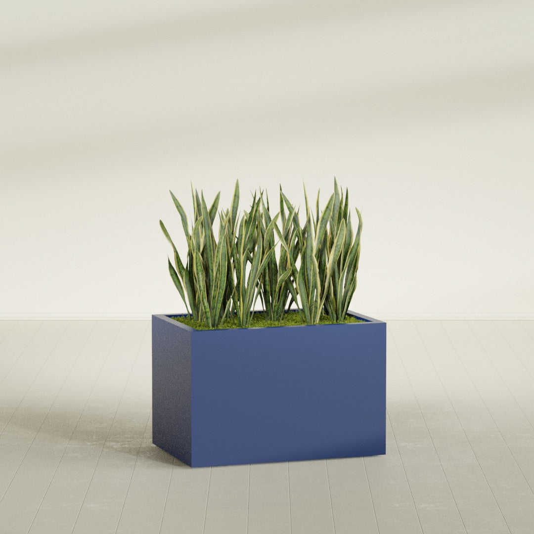 Granada rectangular fiberglass planter in Matte Cobalt Blue, 36 × 24 × 24 in, shown planted in a room