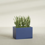 Granada rectangular fiberglass planter in Matte Cobalt Blue, 36 × 24 × 24 in, shown planted in a room