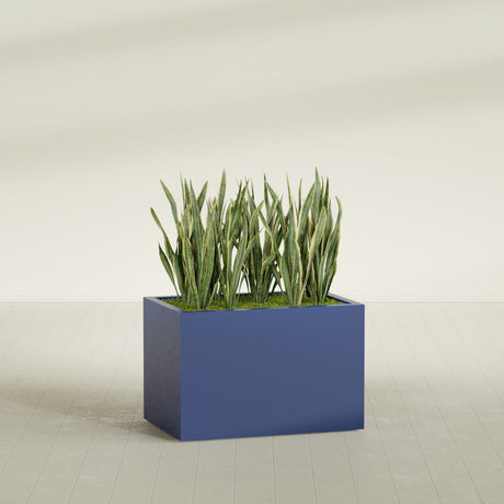 Granada rectangular fiberglass planter in Matte Cobalt Blue, 36 × 24 × 24 in, shown planted in a room