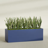 Granada rectangular fiberglass planter in Matte Cobalt Blue, 72 × 24 × 24 in, shown planted in a room