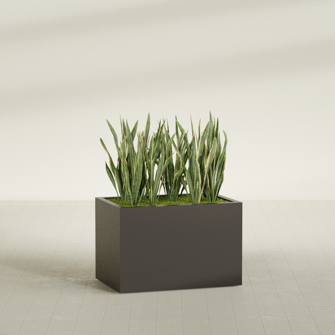 Granada rectangular fiberglass planter in Matte Dark Brown, 36 × 24 × 24 in, shown planted in a room