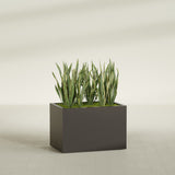 Granada rectangular fiberglass planter in Matte Dark Brown, 36 × 24 × 24 in, shown planted in a room
