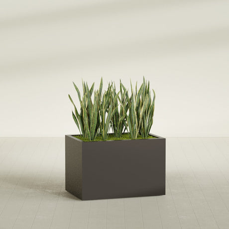 Granada rectangular fiberglass planter in Matte Dark Brown, 36 × 24 × 24 in, shown planted in a room