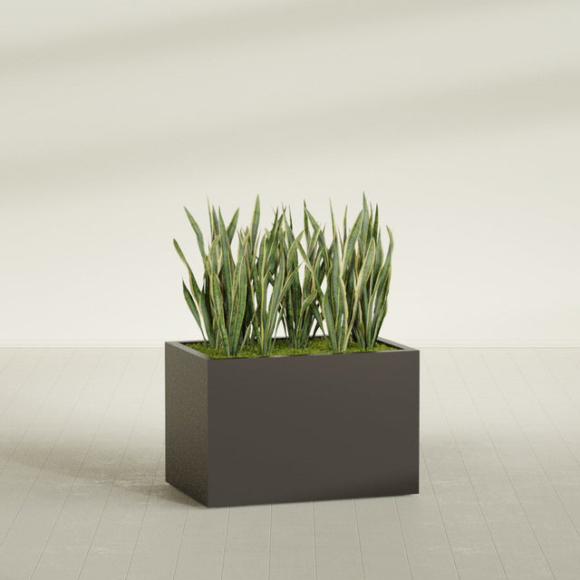 Granada rectangular fiberglass planter in Matte Dark Brown, 36 × 24 × 24 in, shown planted in a room