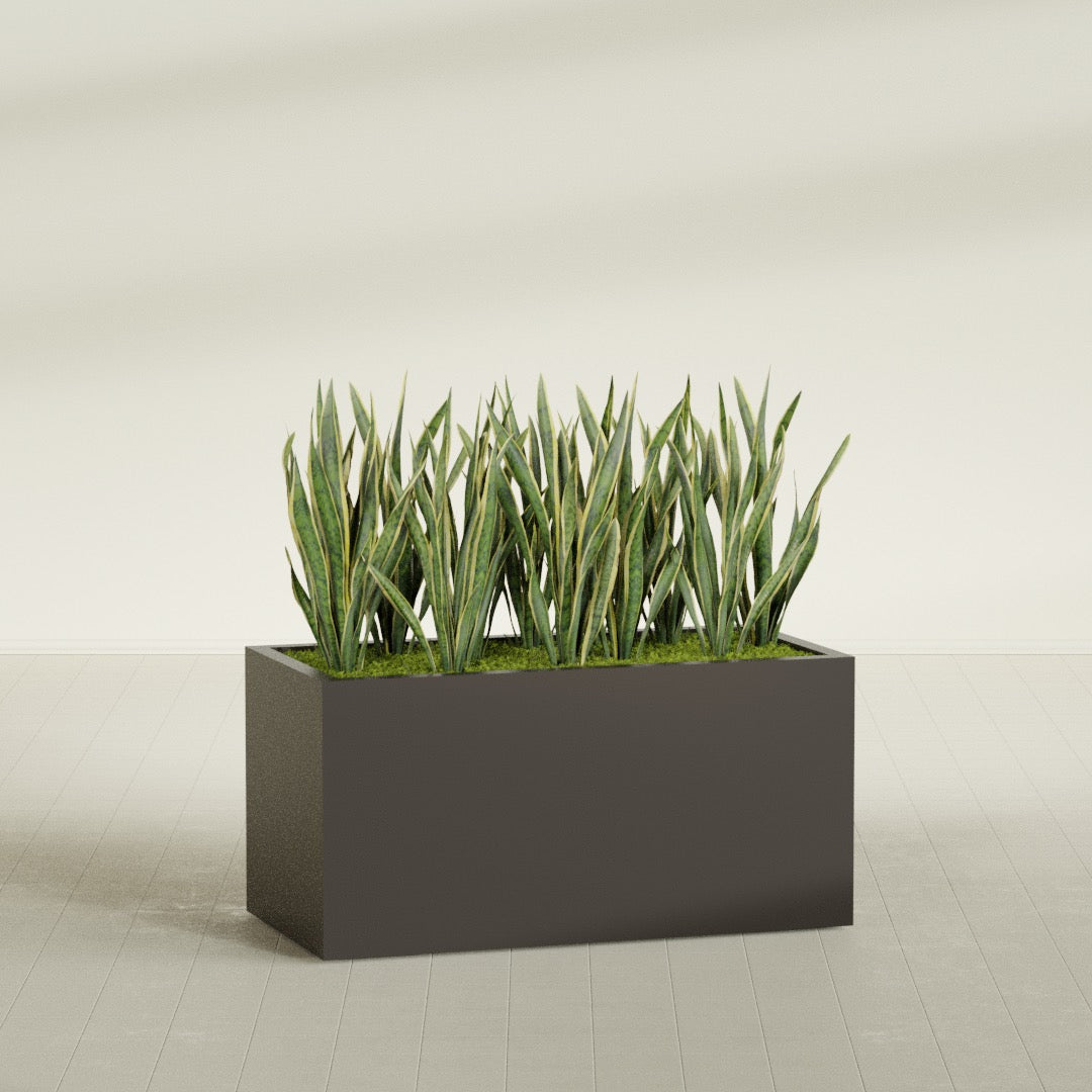 Granada rectangular fiberglass planter in Matte Dark Brown, 48 × 24 × 24 in, shown planted in a room
