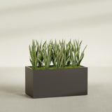 Granada rectangular fiberglass planter in Matte Dark Brown, 48 × 24 × 24 in, shown planted in a room