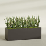 Granada rectangular fiberglass planter in Matte Dark Brown, 72 × 24 × 24 in, shown planted in a room