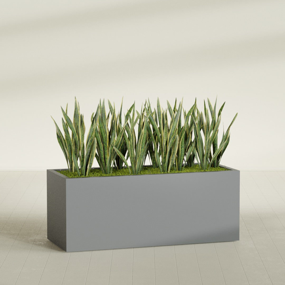 Granada rectangular fiberglass planter in Matte Gunmetal, 60 × 24 × 24 in, shown planted in a room