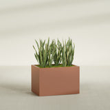 Granada rectangular fiberglass planter in Matte Terra Cotta, 36 × 24 × 24 in, shown planted in a room