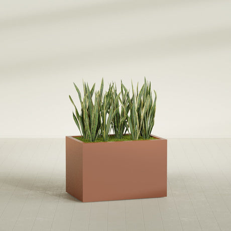 Granada rectangular fiberglass planter in Matte Terra Cotta, 36 × 24 × 24 in, shown planted in a room