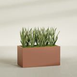 Granada rectangular fiberglass planter in Matte Terra Cotta, 48 × 24 × 24 in, shown planted in a room