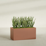 Granada rectangular fiberglass planter in Matte Terra Cotta, 48 × 24 × 24 in, shown planted in a room