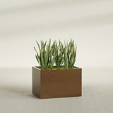 Granada rectangular fiberglass planter in Metallic Bronze, 36 × 24 × 24 in, shown planted in a room