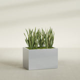Granada rectangular fiberglass planter in Metallic Silver, 36 × 24 × 24 in, shown planted in a room