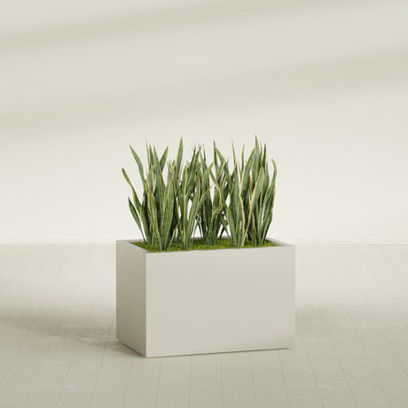 Granada rectangular fiberglass planter in Satin Beige, 36 × 24 × 24 in, shown planted in a room
