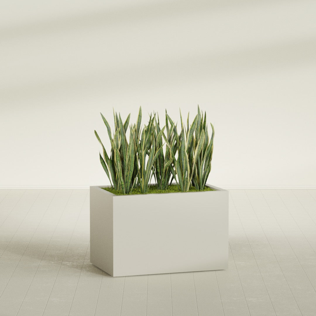 Granada rectangular fiberglass planter in Satin Beige, 36 × 24 × 24 in, shown planted in a room