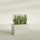 Granada rectangular fiberglass planter in Satin Beige, 36 × 24 × 24 in, shown planted in a room