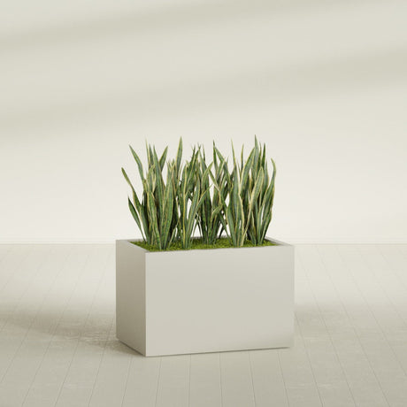 Granada rectangular fiberglass planter in Satin Beige, 36 × 24 × 24 in, shown planted in a room
