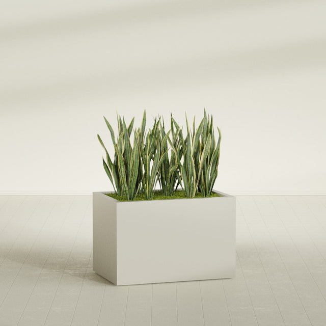Granada rectangular fiberglass planter in Satin Beige, 36 × 24 × 24 in, shown planted in a room