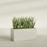 Granada rectangular fiberglass planter in Satin Beige, 48 × 24 × 24 in, shown planted in a room