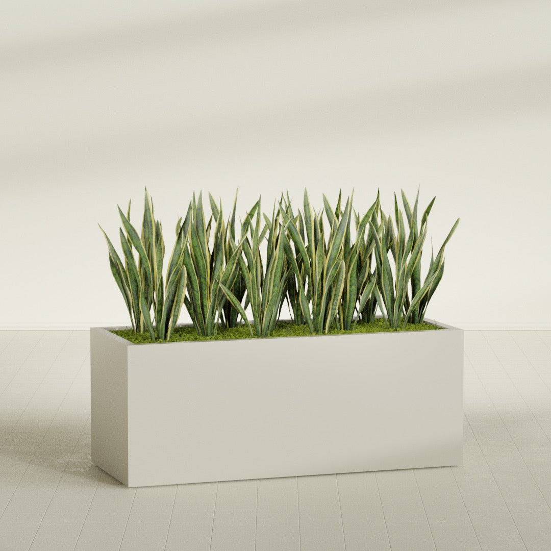 Granada rectangular fiberglass planter in Satin Beige, 60 × 24 × 24 in, shown planted in a room