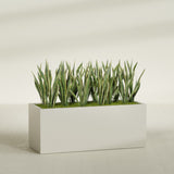 Granada rectangular fiberglass planter in Satin Beige, 60 × 24 × 24 in, shown planted in a room