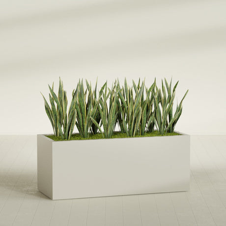 Granada rectangular fiberglass planter in Satin Beige, 60 × 24 × 24 in, shown planted in a room