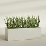 Granada rectangular fiberglass planter in Satin Beige, 72 × 24 × 24 in, shown planted in a room