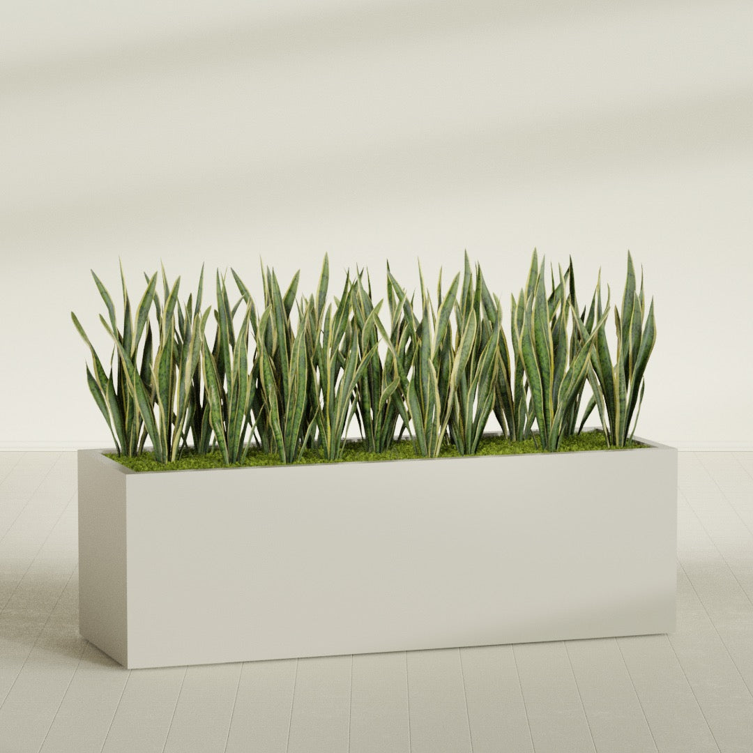 Granada rectangular fiberglass planter in Satin Beige, 72 × 24 × 24 in, shown planted in a room