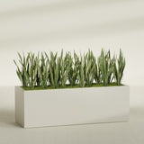 Granada rectangular fiberglass planter in Satin Beige, 72 × 24 × 24 in, shown planted in a room