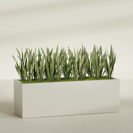 Granada rectangular fiberglass planter in Satin Beige, 72 × 24 × 24 in, shown planted in a room