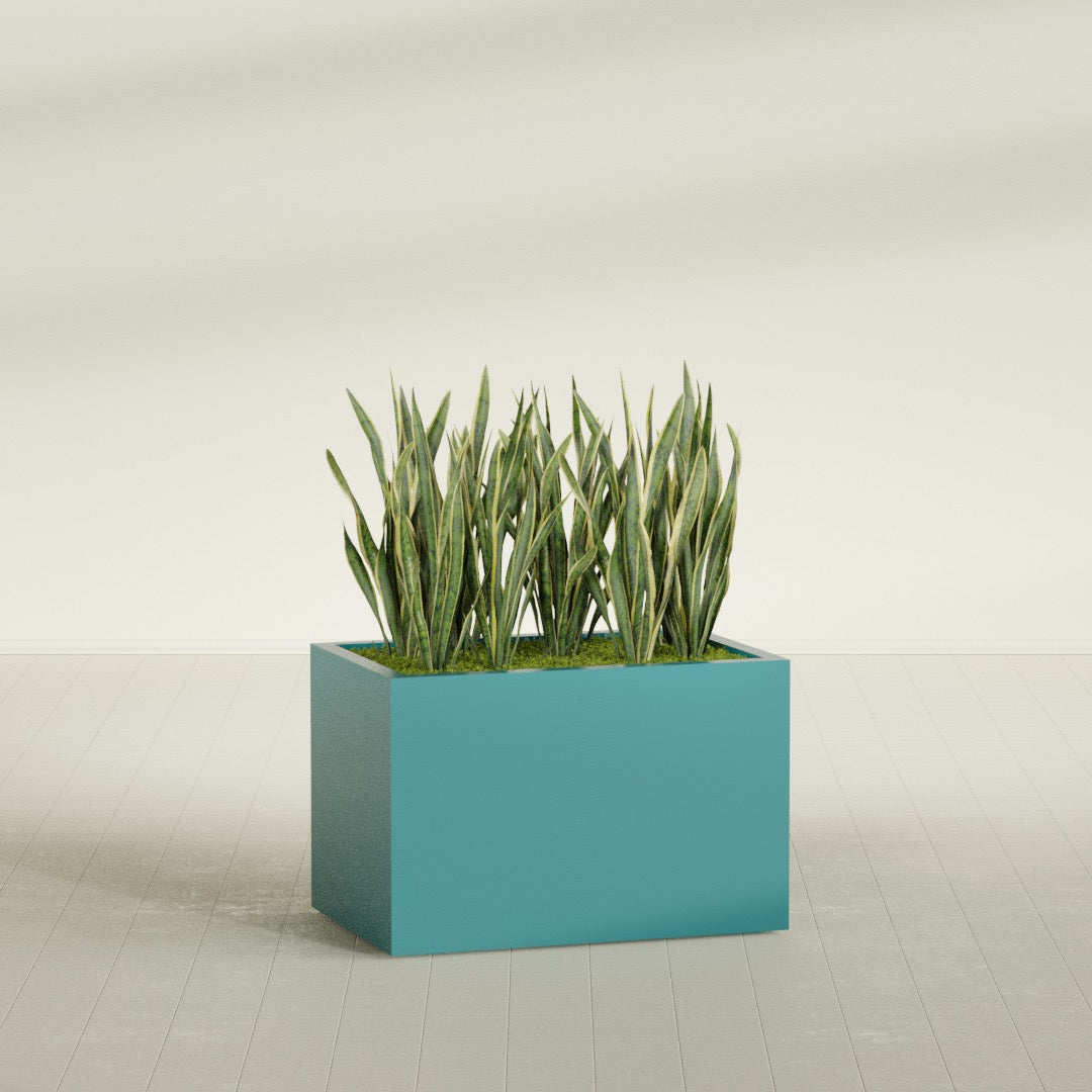 Granada rectangular fiberglass planter in Satin Seafoam Green, 36 × 24 × 24 in, shown planted in a room