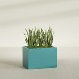 Granada rectangular fiberglass planter in Satin Seafoam Green, 36 × 24 × 24 in, shown planted in a room