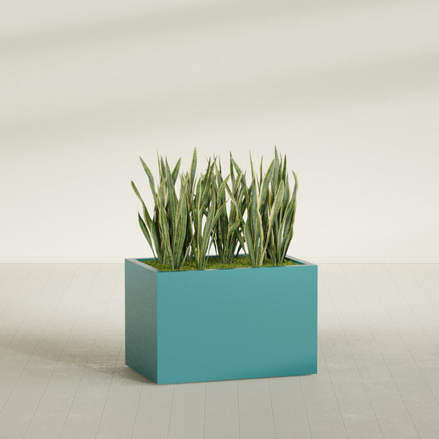 Granada rectangular fiberglass planter in Satin Seafoam Green, 36 × 24 × 24 in, shown planted in a room