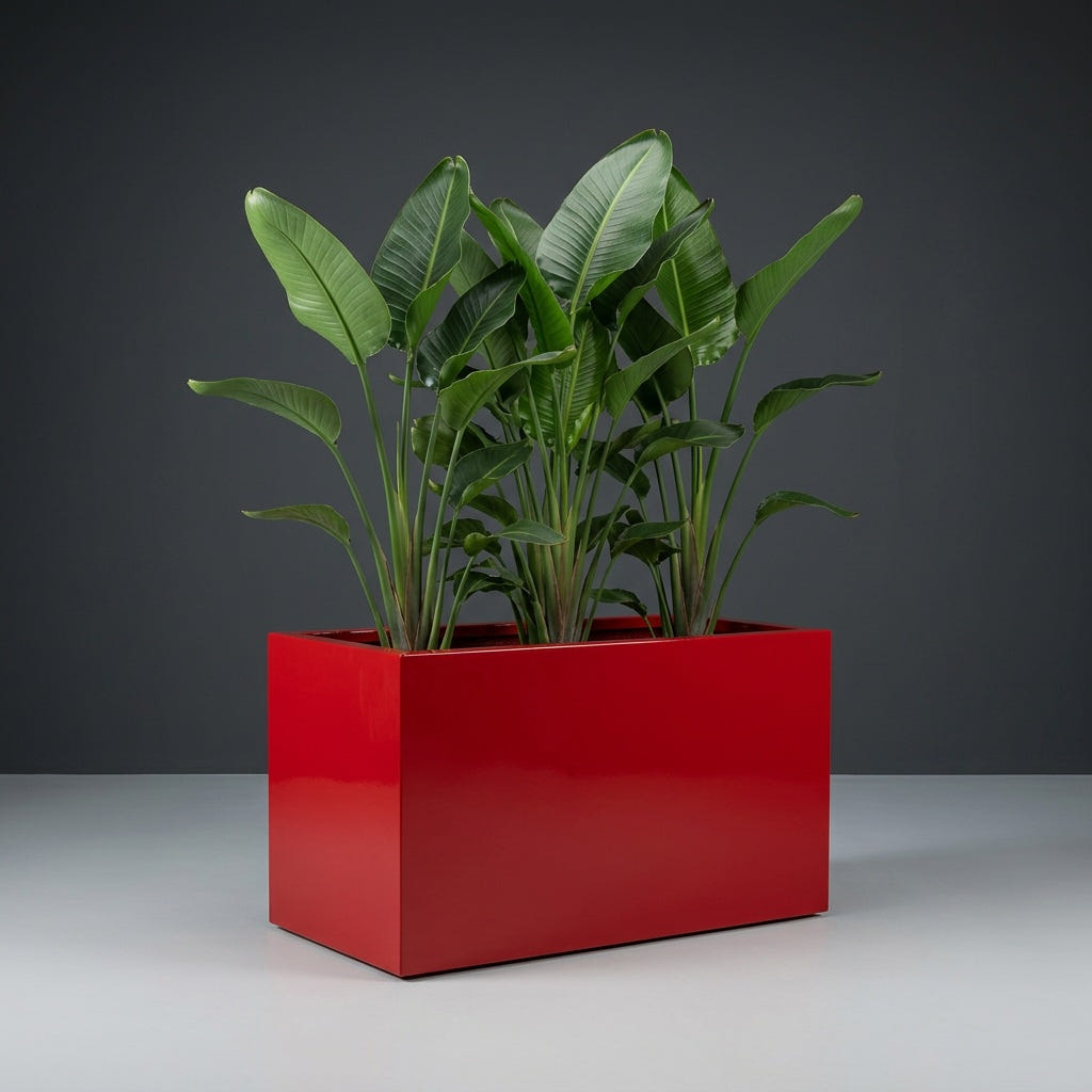 Granada fiberglass planter in Gloss Red, planted with bird of paradise, studio