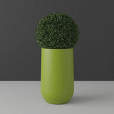 Hayden Urn fiberglass planter in Satin Green, planted with clipped boxwood ball, studio