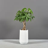 Hayden urn fiberglass planter