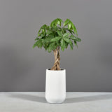 Hayden urn fiberglass planter