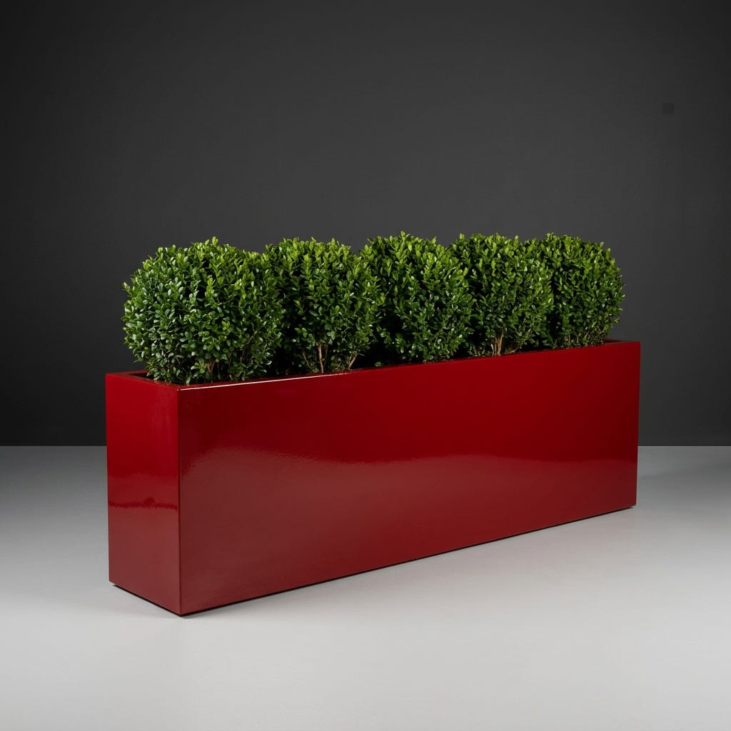 Hudson Extra Long fiberglass planter in Gloss Red, planted with row of clipped boxwood balls on short trunks, studio