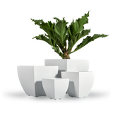 Lima tapered square fiberglass planter shown in all sizes side by side in a studio render for comparing sizes: 12 × 12 × 12 in, 16 × 16 × 16 in, 20 × 20 × 20 in, 24 × 24 × 24 in, 30 × 30 × 30 in