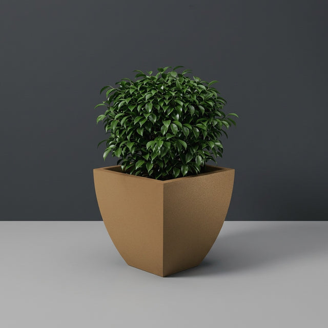 Lima Tapered Square fiberglass planter in Metallic Bronze, planted with compact ficus, studio