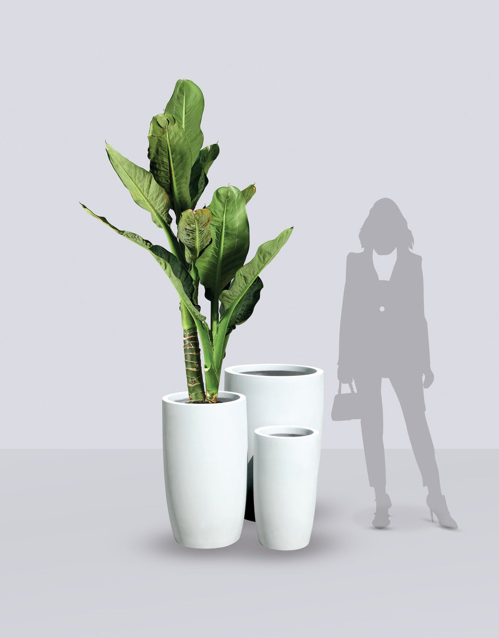 Lisbon Tall Round Tapered fiberglass planter size range shown to scale beside a standing figure