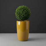 Lisbon Tall Round fiberglass planter in Gloss Metallic Gold, planted with clipped boxwood ball on a short trunk, studio
