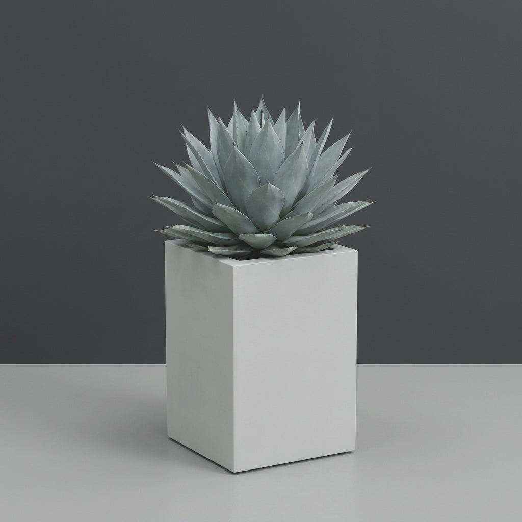 Miami Corner fiberglass planter in Matte Bright White, planted with blue-grey agave, studio